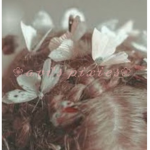 avi’s pixies