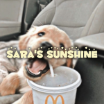 ~ Sara's Sunshine ~