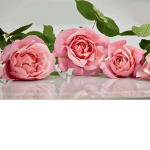 only flowers group