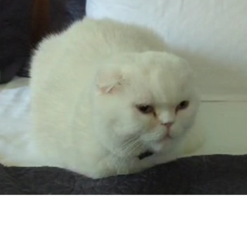 how long can you survive the caet?