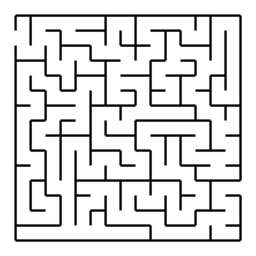 THE MAZE
