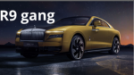 R9 Gruppe von cupraR9hauptboss
