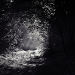 Night travelers
