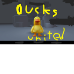 The cool ducks united