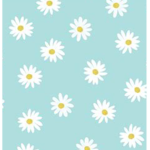 CutePreppy
