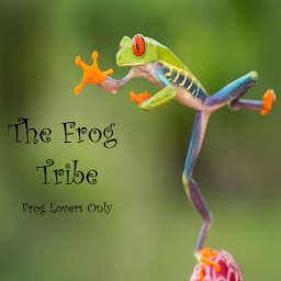 Frog Worshiping Palace