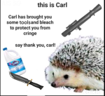 the_carl_group