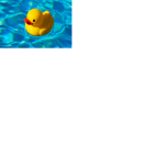 Everything Rubber Duckiez