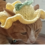 PREPPYLEMON!
