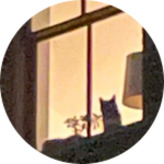 Textscraper