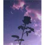 Celestial Beauty<3