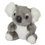 The Koala Bear Kingdom