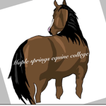 Maple Springs Equine College