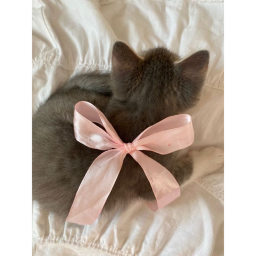 🎀