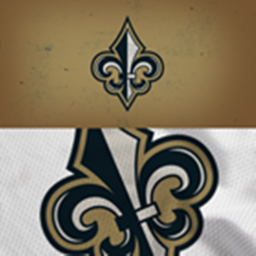 New Orleans Saints Stadium