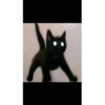 Vr14k