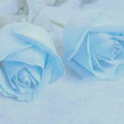 ♥