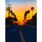 Cali Aesthetic