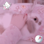 Sleeping Bunnies