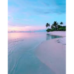 Tropical clothing store and more!