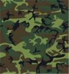 Task Force 199
