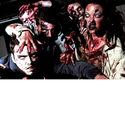 Survive the Zombies icon