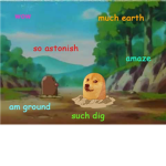 Ground Dog Birds