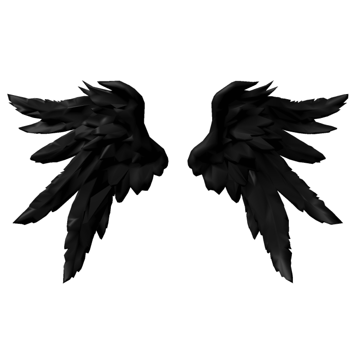 Small Black Angel Wings