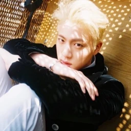 seokjin icon