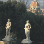 Nuova Firenze Organizzata