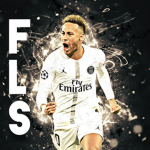 FLS (football league soccer) 2nd division