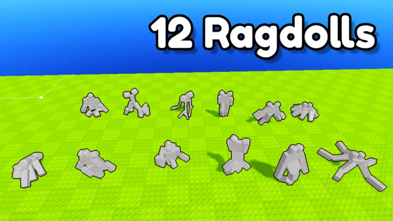 12 Ragdolls!