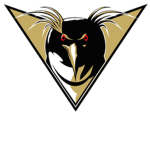 |-| PGHL |-| Pittsburgh Penguins