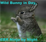 Elite Bunnys of Robloxia