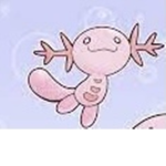 Shining axolotl