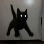 Lumieré.