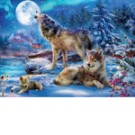 Puppy And Dog Lovers <3