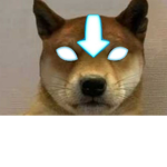 DogeGetsRobuxnow