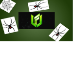 SpidersDaily spider group