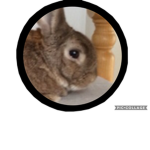 Simbacookie11_yt group’s giveaway