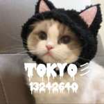 Tokyo彡
