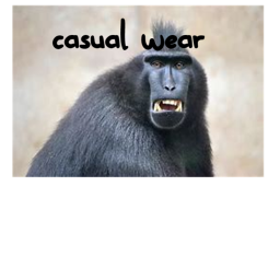 casual-wear HOMESTORE