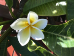 Eadie_Belle’s group <3