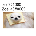 따뜻한 고양이