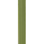 the broc