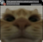 Goofycat_group