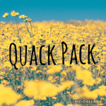 •Quack Pack•