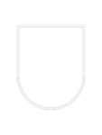 Buddtronics Development Group