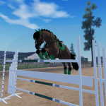 . - Never Ending Equines Academy - .