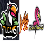 Team toucan/ Flamingo